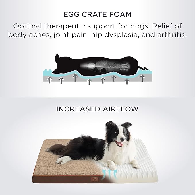 Bedsure Dog Bed for Small Dogs - Comfy Flat Puppy Beds with Removable Washable Cover, Orthopedic Egg Crate Foam Pet Mat, Suitable for Pet Up to 15 lbs