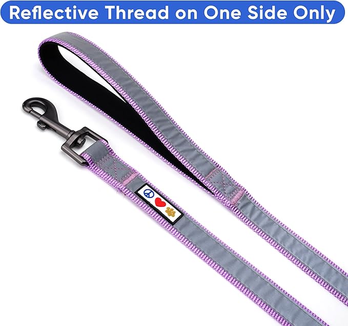 Pawtitas 6 FT Padded Dog Leash with Comfortable Neoprene Padding Handle - Purple Lead | Medium Reflective Dog Leash with Highly Reflective Band Perfect for Medium and Large Dogs and Puppies.