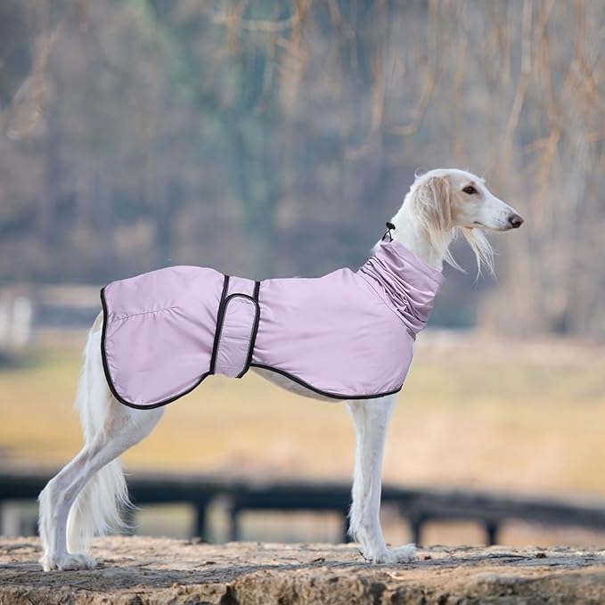 Dog Raincoat with Reflective Bar, Rain/Water Resistant, Adjustable Vest - Dog Raincoats for Greyhounds, Lurchers and Whippets - Purple - XXL