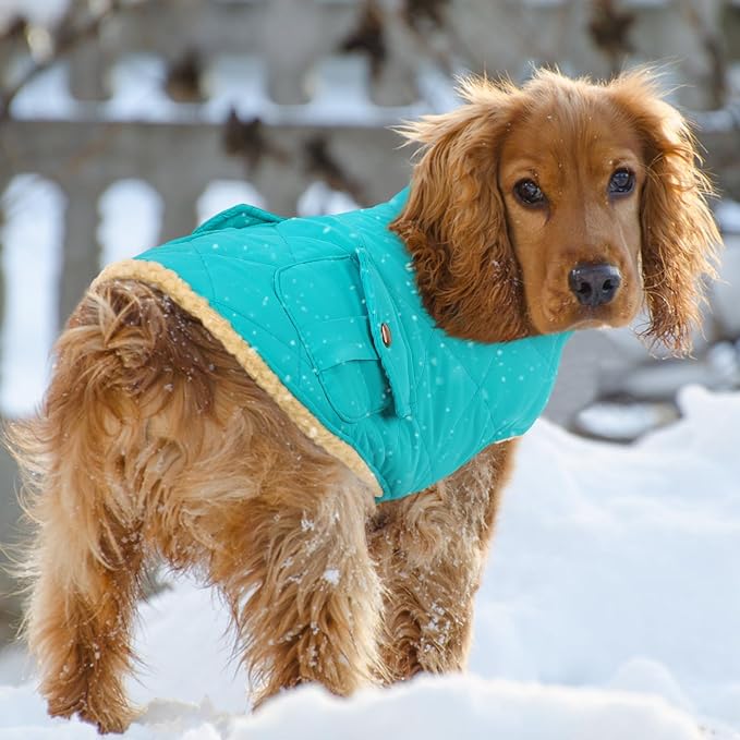 Queenmore Warm Dog Coat, Cold Weather Puffer Dog Coat Vest, Quilting Winter Pet Jacket Ultra Thick Plush Fleece Lining Pet Clothes for Dogs with Storage Pockets (Light Blue, Medium)