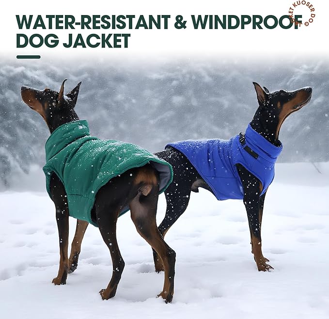 Kuoser Large Dog Winter Jacket Waterproof L | ·Storm Hood·-30°C Rated·Zip Off Harness·Husky·Skip The Struggle