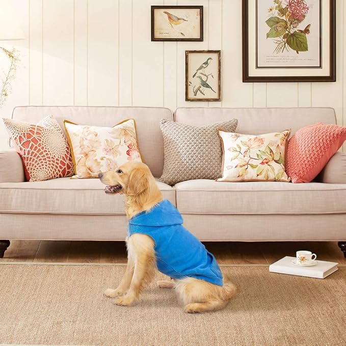 EXPAWLORER Dog Hoodie Fleece Sweater Vest, Hooded Dog Sweatshirt Fall Winter Pet Clothes with Leash Hole, Sleeveless Warm Cozy Puppy Clothing for Cat Small Medium Large Dogs Girl Boy, Blue XL