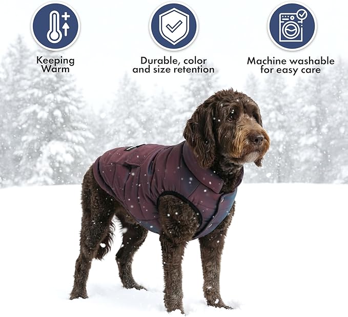 Spark Paws Dog Winter Jacket, Water-Resistant Coat, Warm Reflective Windproof Fleece-Interior, for Medium and Large Dogs - Cosmic - XL