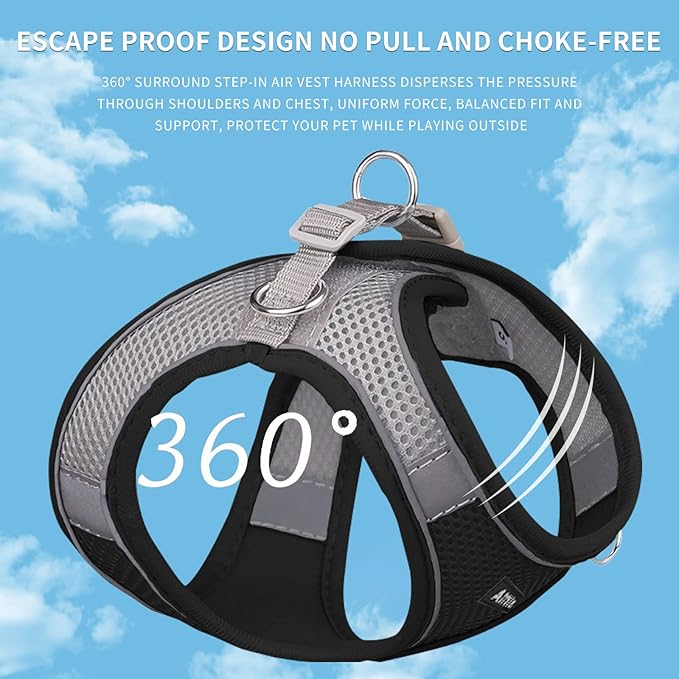 AIITLE Step in Dog Harness and Leash Set - Summer No Pull Escape Proof Vest Harnesses with Soft Mesh and Reflective Bands, Adjustable Pet Outdoor Harnesses for Small and Medium Dogs Black M