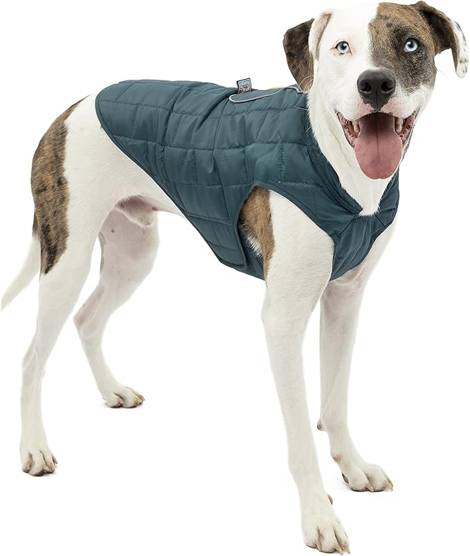 Kurgo Loft Dog Jacket - Reversible Cozy Coat for Outdoor Adventures - Water Resistant - Athletic Fit - Machine Washable Fabric - Reflective Dog Gear - X-Small - Ink Blue