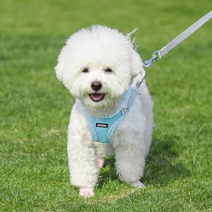 AIITLE Step in Dog Harness and Leash Set - Summer No Pull Escape Proof Vest Harnesses with Soft Mesh and Reflective Bands, Adjustable Pet Outdoor Harnesses for Small and Medium Dogs Blue M