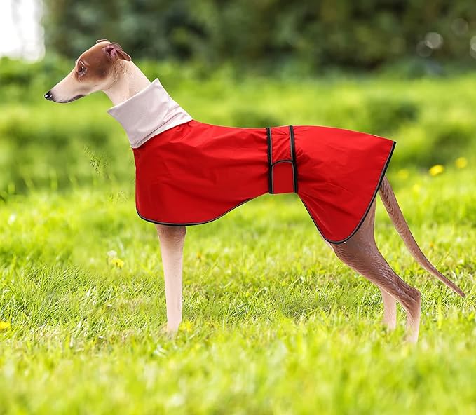 Dog Raincoat with Reflective Bar, Rain/Water Resistant, Adjustable Vest - Dog Raincoats for Greyhounds, Lurchers and Whippets - Red - XXL