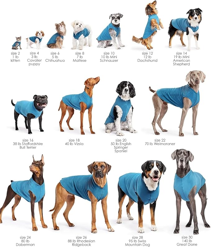 Goldpaw Stretchy Fleece Jacket for Small Dogs - Super Soft, Warm Dog Sweater - Pet Sweater Vest for Fall and Winter - Canine Clothes Made in The USA - Machine Washable - Turquoise - Size 24
