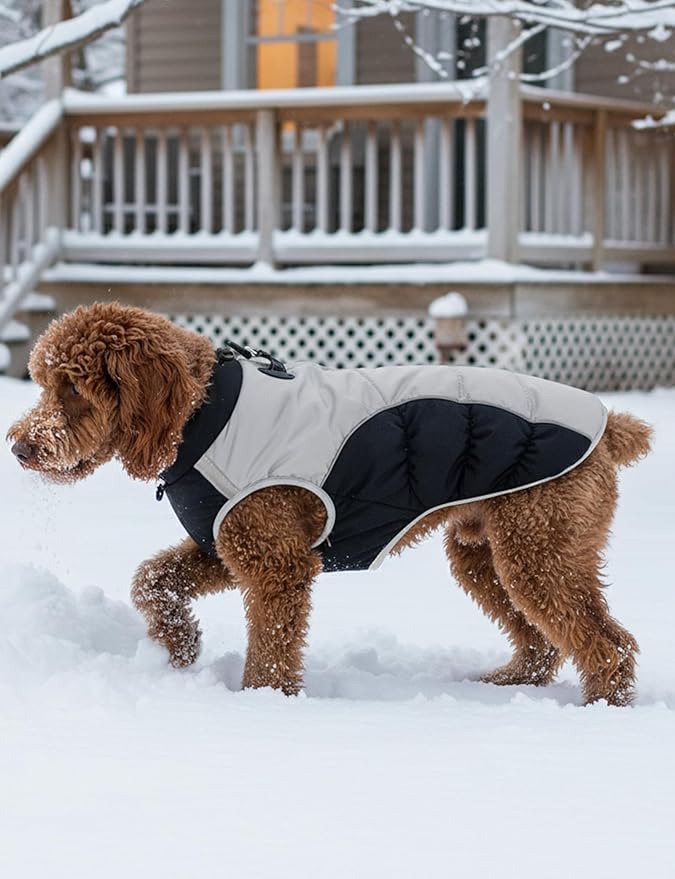 AURUZA Dog Coat, Warm Dog Winter Coat Waterproof Small Dogs Jacket with Harness Built Reflective Pet Vest with Zipper for Medium Dogs Windproof Pet Fleece Vest Snow Jacket for Cold Weather（Black,XXL）