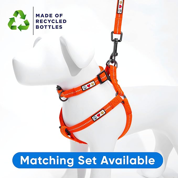 Pawtitas 6 FT Recycled Dog Leash With Reflective Stitched Thread - Small, Made From Plastic Bottles Collected From Oceans - Orange