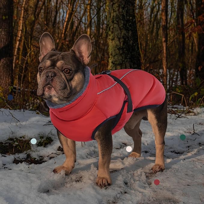 IECOii Extra Warm Dog Coat - Reflective Adjustable Jacket With Buckle Fleece Turtleneck for Cold Weather - Soft Winter Coat for Small Medium Extra Large Dogs