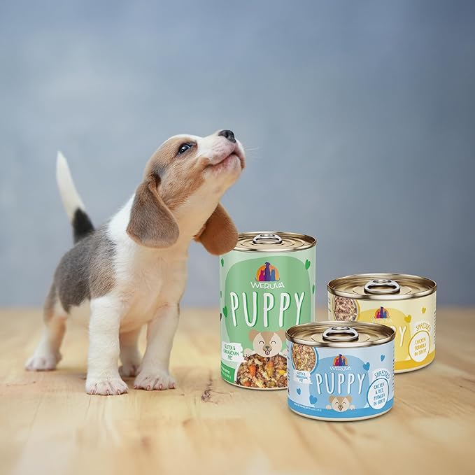 Weruva Puppy, Chicken Formula in Gravy, 6oz Can, Pack of 8