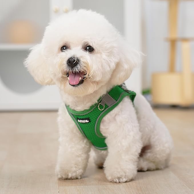 AIITLE Small Harness for Puppy with A Leash - Summer Dog Vest Harness with Super Breathable Mesh, Reflective No-Pull Pet Harness for Outdoor Walking, Camping for Small Dogs, Cats Green XXS