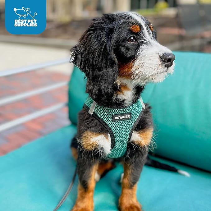 Best Pet Supplies Voyager Step-in Air Harness - All Weather Mesh, Reflective, No Pull Harness for Dogs, Cats - Secure with Hook & Loop Fastener, Buckle, Double D-Rings - Tone, M