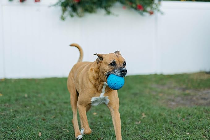 Jolly Pets Mini Jolly Soccer Ball; Floating-Bouncing Dog Toy; 4" Ocean Blue
