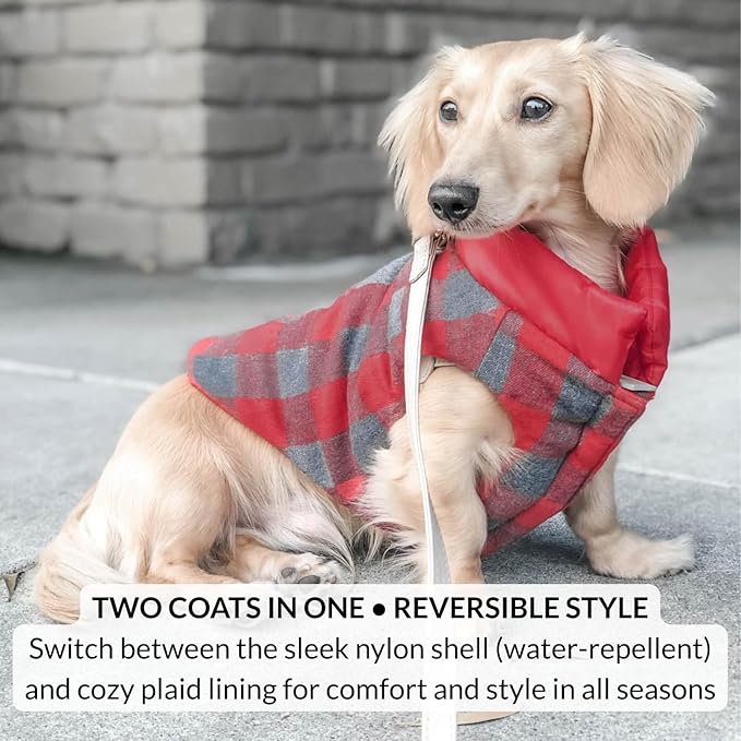 DJANGO Reversible Puffer Dog Coat – Warm Winter Dog Jacket & Water-Repellent Insulated Dog Coat with Harness Hole, Windproof, Adjustable Fit for Small & Medium Dogs, Dachshunds – Lava Red, X-Small