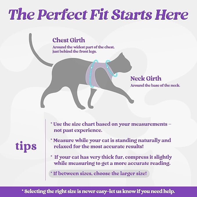rabbitgoo Cat Harness and Leash Set for Walking Escape Proof, Adjustable Soft Kittens Vest with Reflective Strip for Cats, Comfortable Outdoor Vest, Purple, S