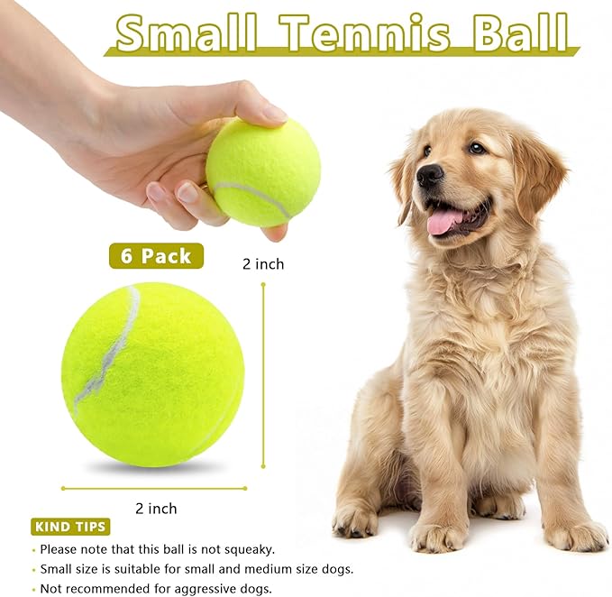 Magicorange 6 Pack Small Tennis Balls, 2 inch Tennis Balls for Dogs,Colorful Easy Catching Pet Playing Ball(Yellow, 6 Pack)