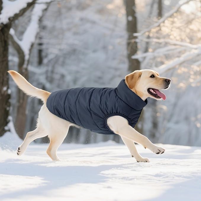 ASENKU Dog Winter Coat - Waterproof Windproof Dog Jacket, Warm Snowproof Doggie Puffer Vest for Cold Weather, Lightweight Snow Coats for Small Medium Large Dogs(M, Blue)