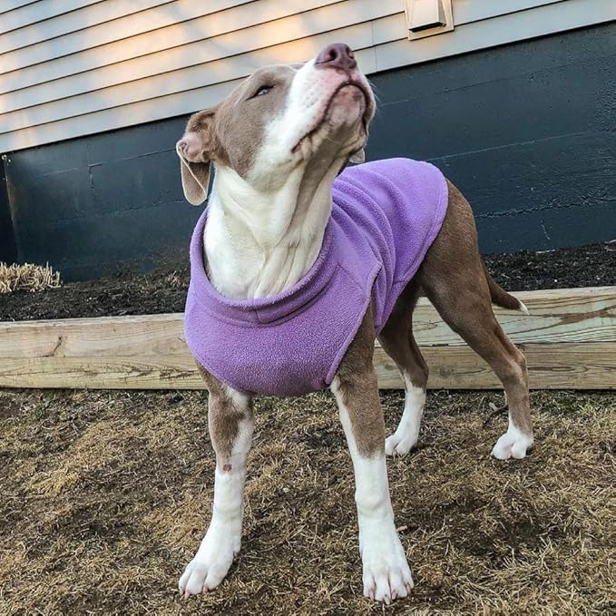 Gooby Stretch Fleece Vest Dog Sweater - Lavender, X-Small - Warm Pullover Super Stretchy Fleece Dog Jacket for Small to Large Dogs
