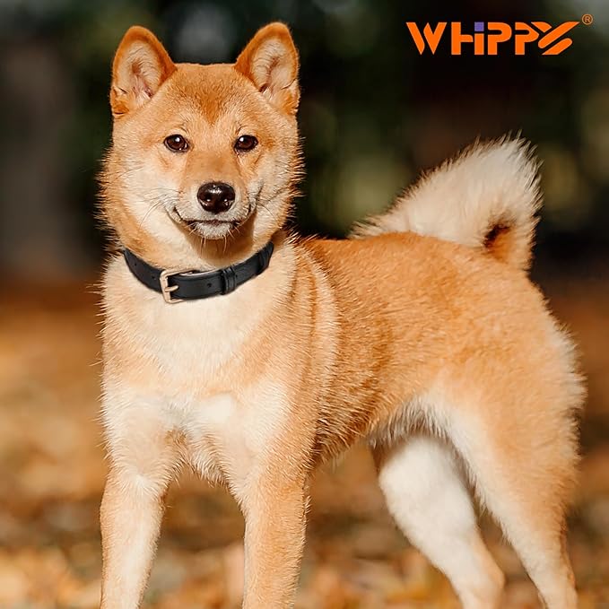 WHIPPY Leather Dog Collar for Small Medium Large Dog Adjustable Soft Breathable Leather Padded Puppy Collar with Alloy Buckle Heavy Duty Waterproof Classic Dog Pet Collar,Black,L