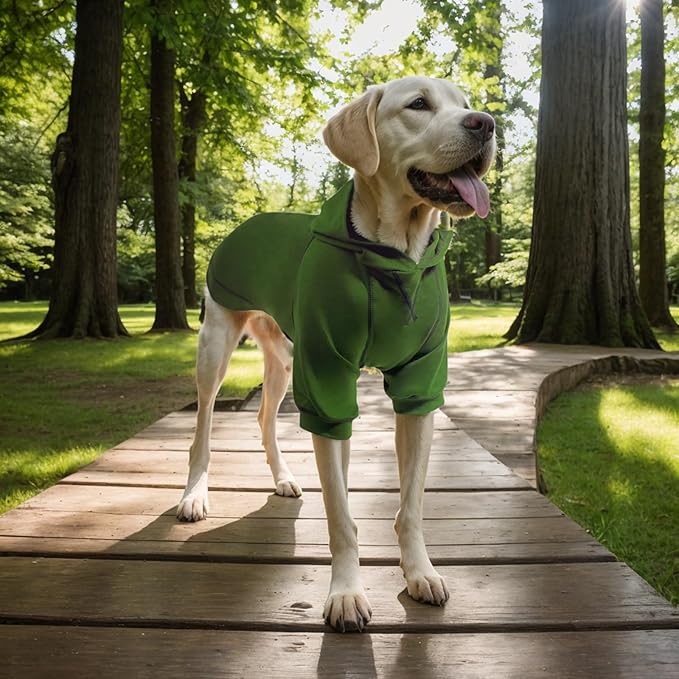 Basic Dog Hoodie, Premium Dog Sweater Pullover, Soft & Comfy Cotton Pet Clothes Hoodies with Hat and Leash Hole, Doggy Puppy Sweatshirt Coat for Small Medium Large Dogs - Army Green (Small)