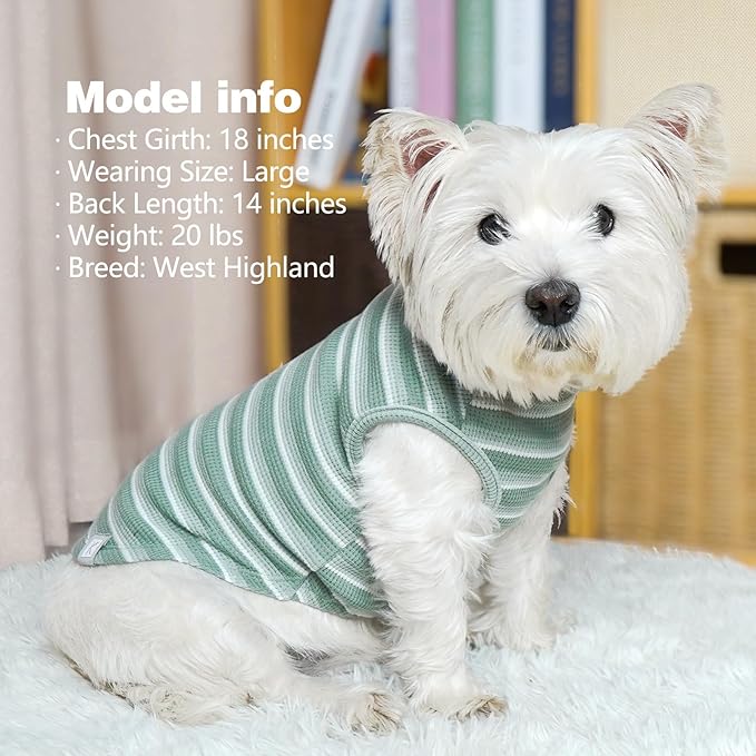 KYEESE 2Pack Waffle Dog Shirts for Small Dogs Stretchy T-Shirts Lightweight Tank Top Sleeveless Striped Vest Breathable Pet Tee, X-Large, Green+Striped
