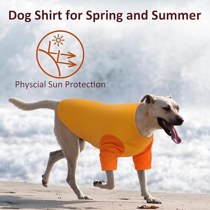 2 Pack Dog Shirt for Large Dogs XXL - Soft Breathable Cotton Tees, Freedom of Movement Prevents Overheating Dog Clothes for Border Collie, Pitbull, Boxer, Hiking, Play, Casual Wear, Orange
