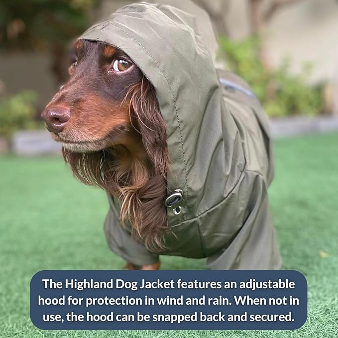 DJANGO Highland Dog Jacket & Raincoat – Water-Repellent, Lined Dog Coat with Hood, Adjustable Fit & Harness Hole – Lightweight Rain & Wind Jacket for Small & Medium Dogs up to 30 lbs (Olive, Large)