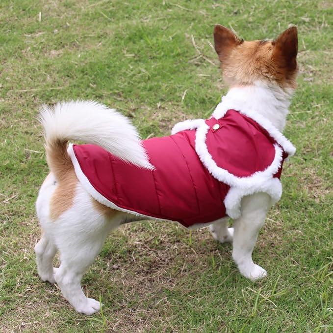 Shawl Design Fleece Lined Warm Dog Jacket for Winter Cold Weather,Soft Windproof Large Dog Coat,Red XXXL