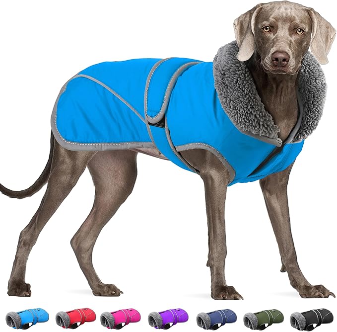 Dogcheer Dog Coat, Waterproof Dog Jacket Reflective Pet Winter Coat with Adjustable Hook & Loop, Christmas Puppy Fleece Jacket Warm Turtleneck Snowsuit for Small Medium Large Dogs - Sky Blue, 2XL