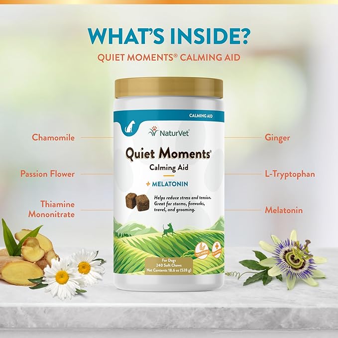 NaturVet Quiet Moments Calming Dog Supplement, Dog Soft Chews with Melatonin to Help Reduce Stress from Storms, the Vet, Fireworks, and Travel, Bacon and Chicken Flavored Pet Supplement, 240 Count Jar