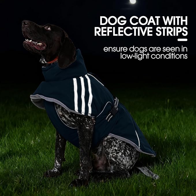 FUAMEY Dog Cold Weather Coats,Dog Winter Jackets for Small Dogs Warm Dogs Coat with Reflective Strips Waterproof Pet Snowsuit Thick Paded Pets Vest for Yorkshire Chihuahua Blue S
