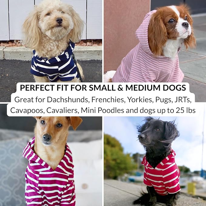 DJANGO Dog Hoodie – Warm, Lightweight, Soft & Stretchy Dog Sweater with Hood, Harness Hole & Elastic Waistband – Cozy Sweatshirt for Small Dogs up to 25 lbs, Dachshunds & Puppies – Black, Small