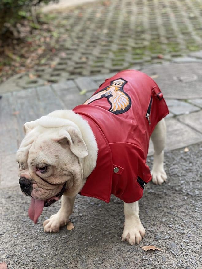 Lovelonglong Cool Dog Leather Jacket, Warm Coats Dogs Windproof Cold Weather Coats for Large Medium Small Dogs with Eagle Embroidery Red B-S