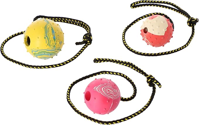 Dingo Fetch Ball Made of Hard Rubber with a String, Large, for Aport Game Dog Training 17298