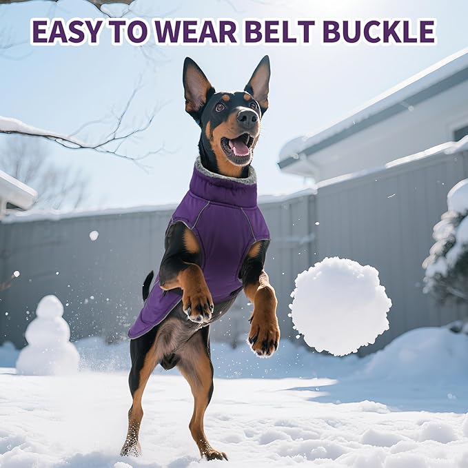DENTRUN Medium Dog Winter Jacket - Warm Reflective Windproof Coat, Adjustable Neck & Snap Closure, Water Repellent Thick Fleece Vest, Fleece Lined for Beagle Pug, Purple, M