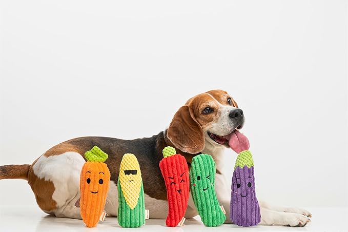 Squeaky Dog Plush Toy, Bite_Stick Collection, 8'', for Small and Medium Dogs (Cucumber)