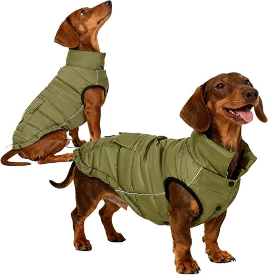 Dog Winter Jacket Waterproof, Reflective Fleece Lined Dog Coats for Small Medium Large Dogs, Warm Snow Coat for Dogs, Insulated Cold Weather Dogs Puffer Jackets with Leash Hole, Olive, L