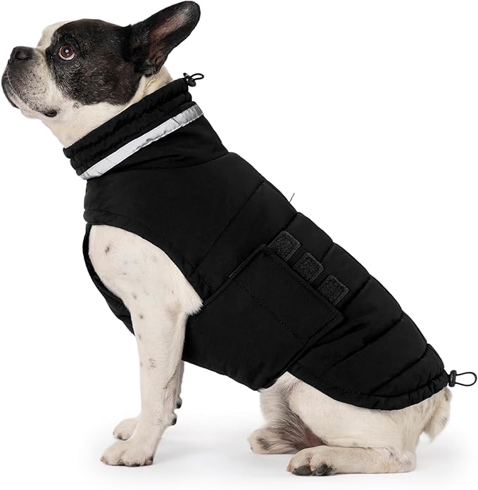 Dog Coat, Waterproof Winter Jacket, Warm Windproof Jacket, Reflective Adjustable Turtleneck Coats for Small Dogs with Hook & Loop - Black - S