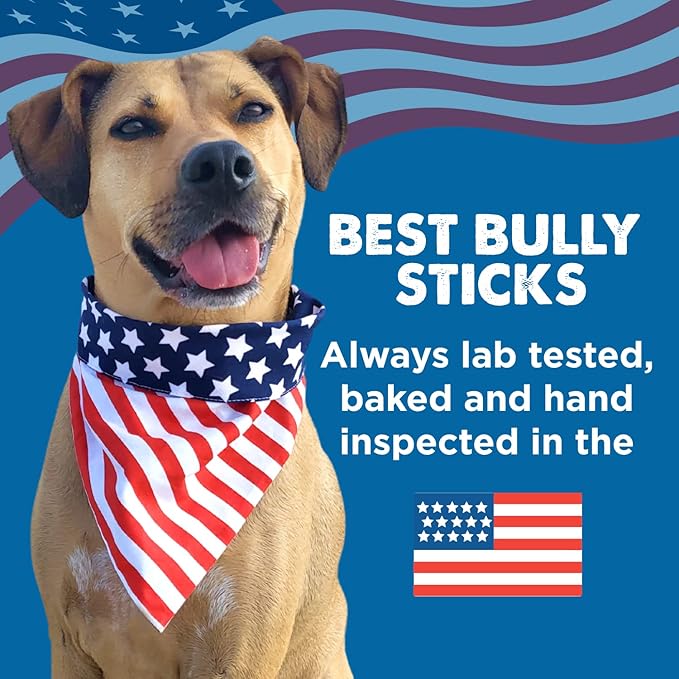 Best Bully Sticks 6 Inch Jumbo Bully Sticks - 25 Count (Pack of 1) - Natural Grass-Fed Beef, Single Ingredient, Grain and Rawhide Free, Ideal for Large Canines