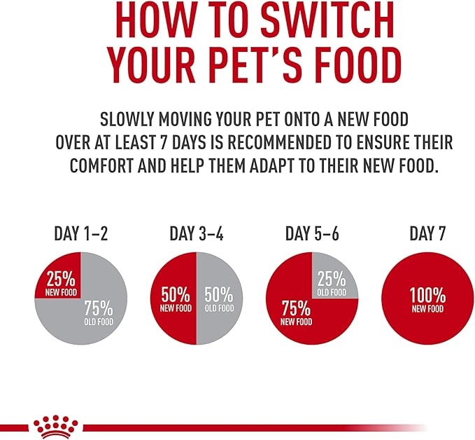 Royal Canin Size Health Nutrition Medium Puppy Thin Slices in Gravy Dog Food, 13 oz (Pack of 12)