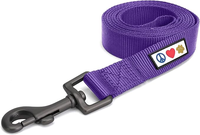 Pawtitas 6 FT Solid Color Leash for Puppy - Comfortable Handle Dog Training Leash - Extra Small/Small - Purple