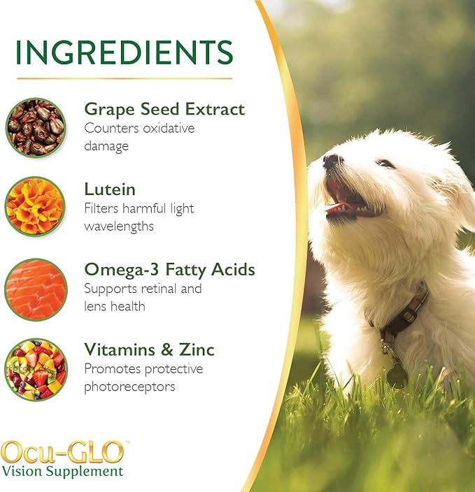 Ocu-GLO Cat & Dog for Eye Support - Chewable Vision Supplement for Large and Small Pets Care with Lutein, Omega-3 Fatty Acids, Grape Seed Extract & Antioxidants 30 XL Chewables