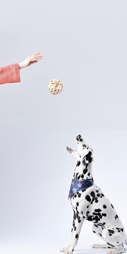 Dog Balls, Indestructible Dog Toy Ball for Aggressive Chewers, Durable High Elasticity Interactive Ball for Training Dog Catch and Fetch, Large Medium Small Dog and Puppies(2.5in, 4pcs)