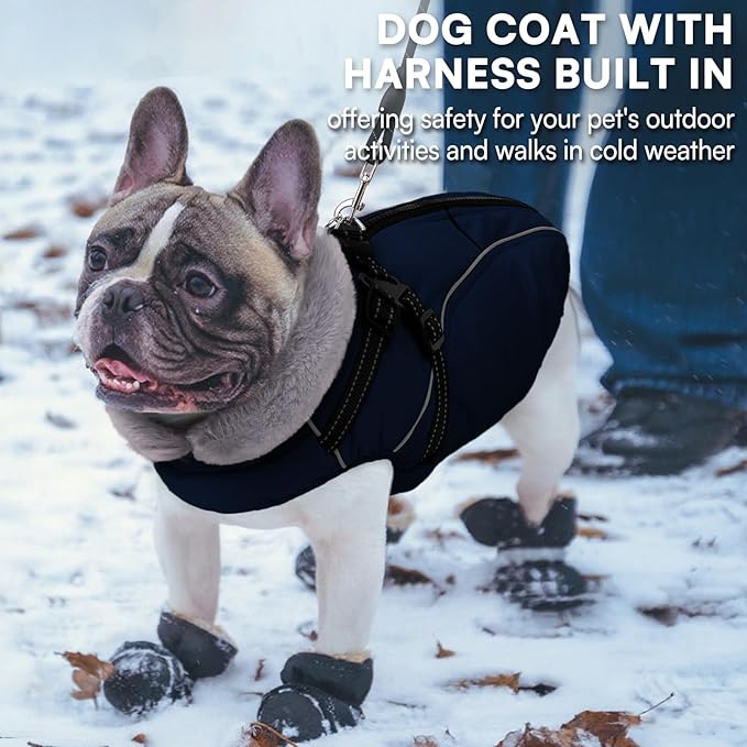 Queenmore Small Dog Coat,Dog Coat for Small Dogs,Reflective Windproof Dogs Jackets with Built-in Harness,Doggy Winter Jacket with Zipper On Back,Warm Pet Coats with Fleece Lining,NavyBlue,S