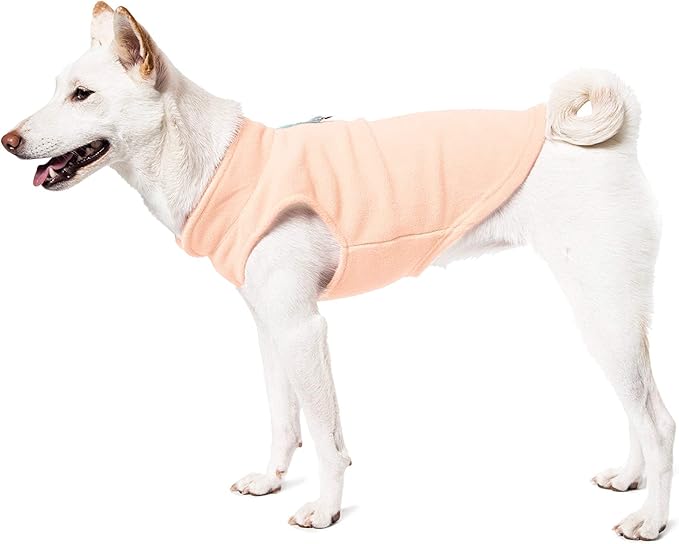 Gooby - Fleece Vest, Small Dog Pullover Fleece Jacket with Leash Ring, Lime, Small