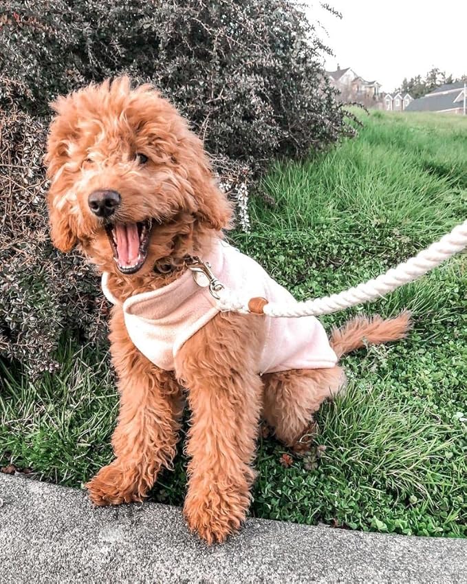 Gooby Fleece Vest Dog Sweater - Pink, Medium - Warm Pullover Fleece Dog Jacket with O-Ring Leash for Small to Medium Dogs