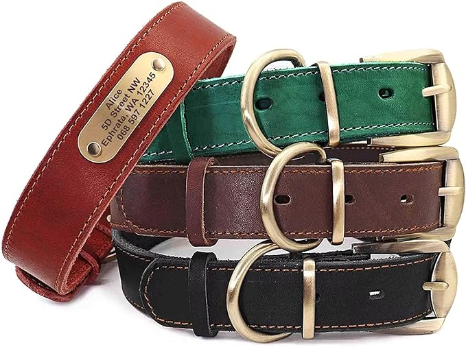 Didog Genuine Leather Dog Collars with Engraved Nameplate, Personalized Soft Leather Dog Collar with Custom ID Tag, Brown/Green/Red for Medium Large Dogs (XXL,Black)