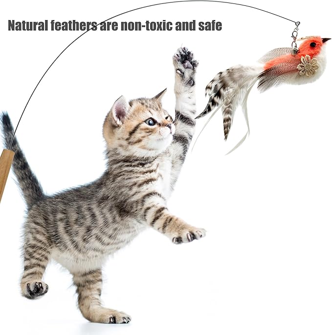 Cat Feather Toys Refill, 5 Pieces Cat Wand Attachments Feathers Bird Toy for Indoor Cats